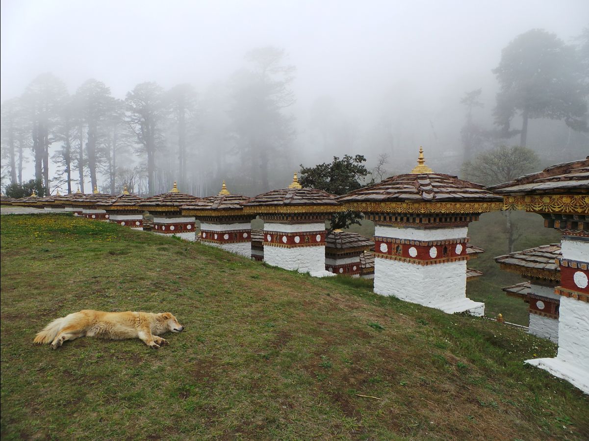 Dochula Pass13